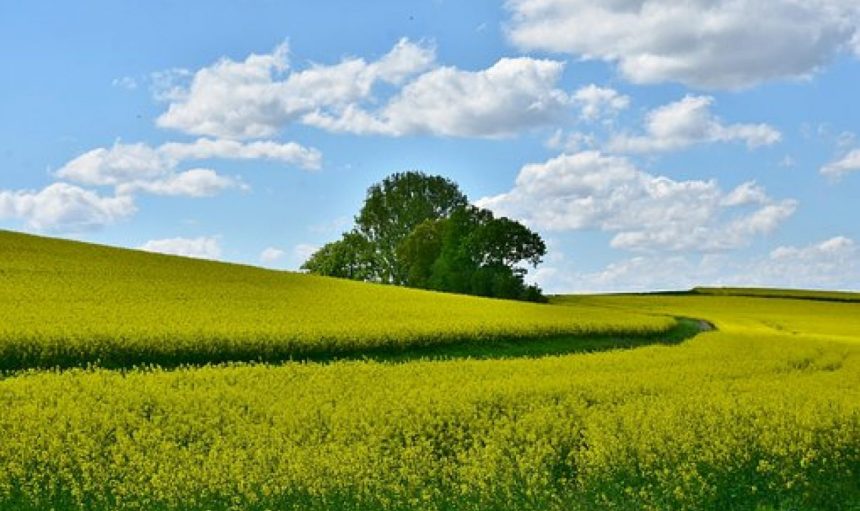 WONDERFUL WAYS TO GREEN YOUR HOME