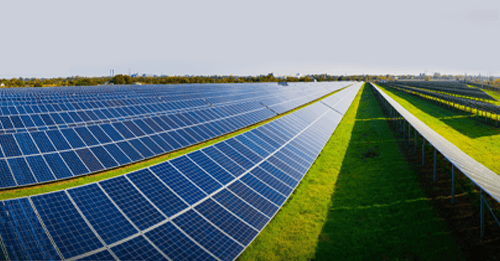 Feroze Power Elevates Operational Efficiency with the Successful Launch of Odoo ERP